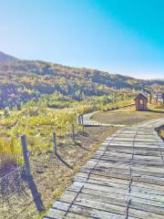 Nishiyama Sanroku Kako Walking Path