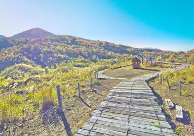 西山火口散步道