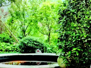 Popular Hot Springs Attractions in Luzhou