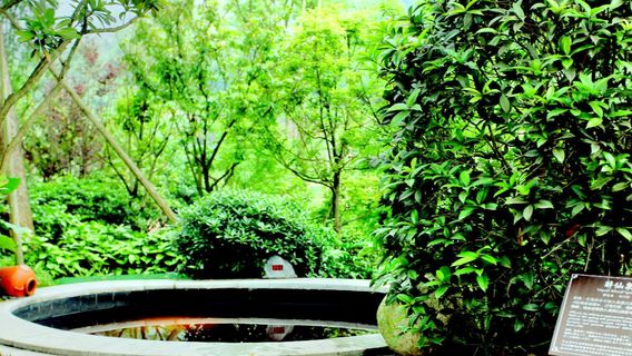 Luzhou