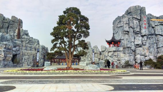 Daming Flower Sea Ecological Tourist Area