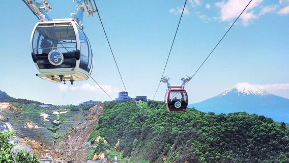 Tagesausflug zum Hakone-Schrein, Hakone-Seilbahn, Owakudani, Yamanakako-See und den Oshino Hakkai in Japan