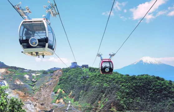 箱根空中纜車單程票小童