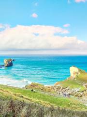 Tunnel Beach Track