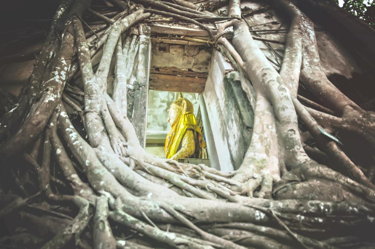 วัดบางกุ้ง (โบสถ์ปรกโพธิ์)