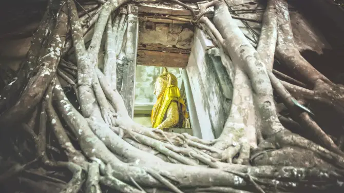 Top 5 Things to do in Thailand