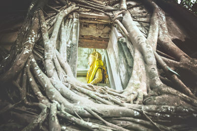 Wat Bang Kung