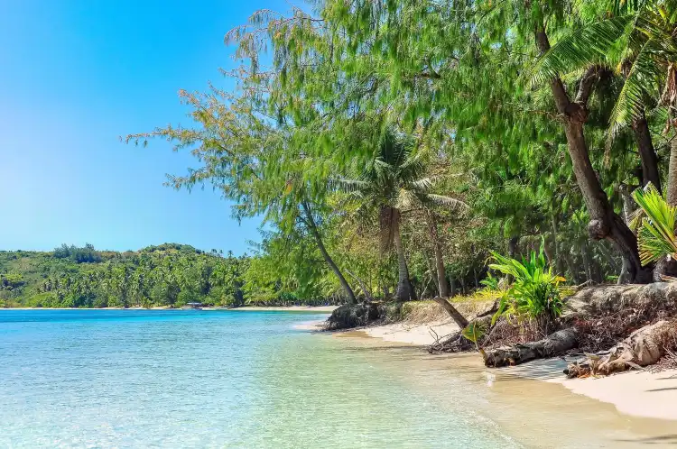 Nacula Island