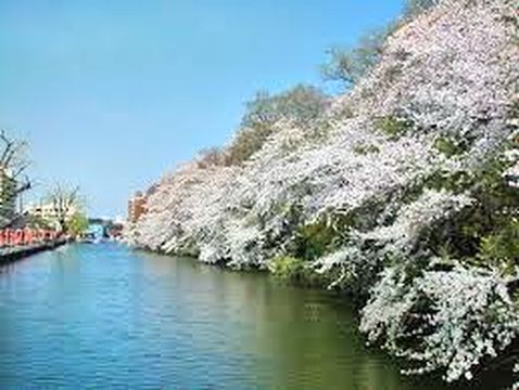 Takaoka Old Castle Park