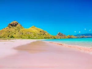 코모도 국립공원