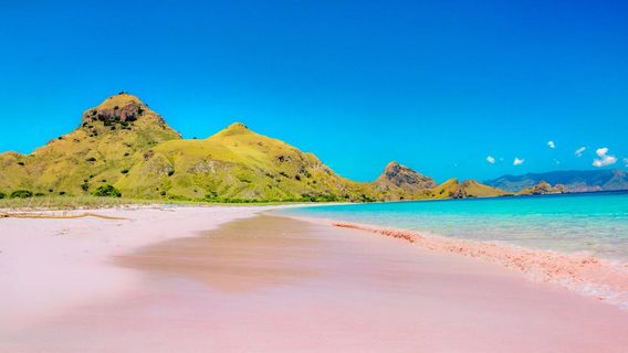 Komodo National Park