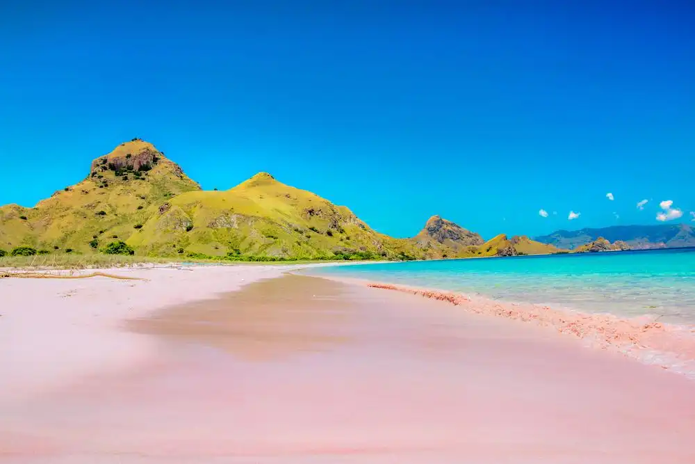 Hotels near Komodo National Park