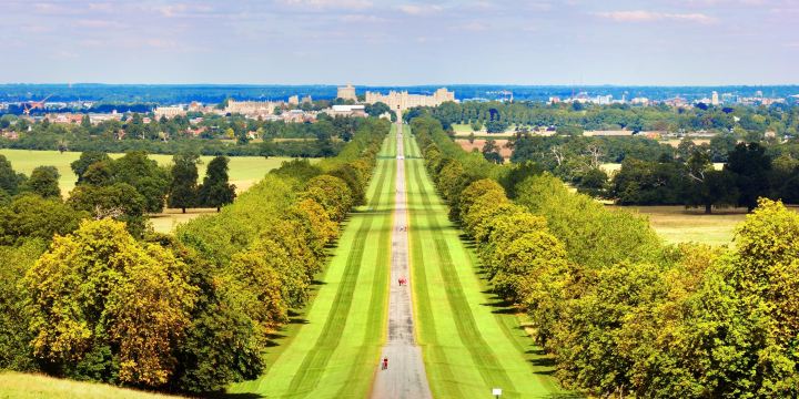 Windsor Great Park