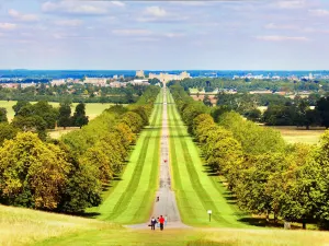 Windsor Great Park