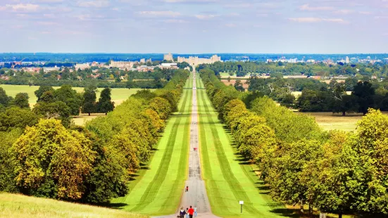 Windsor Great Park