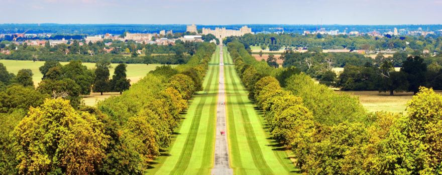 Windsor Great Park