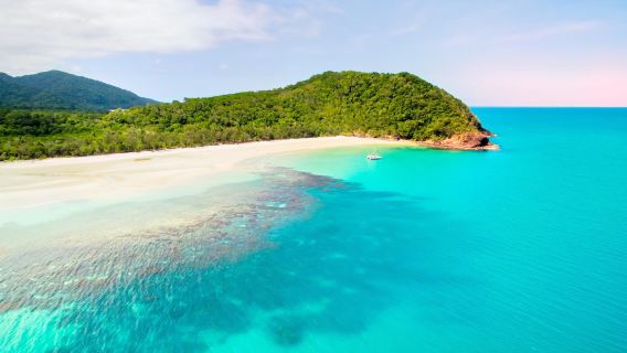 Cape Tribulation