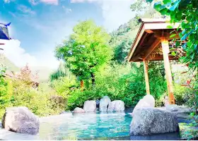 Maiji Mountain Hot Spring Hotel