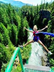 Whistler Bungee Office