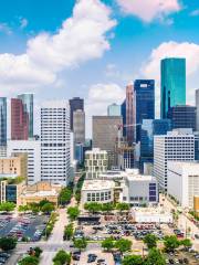 Museum der Natürlichen Wissenschaft, Houston