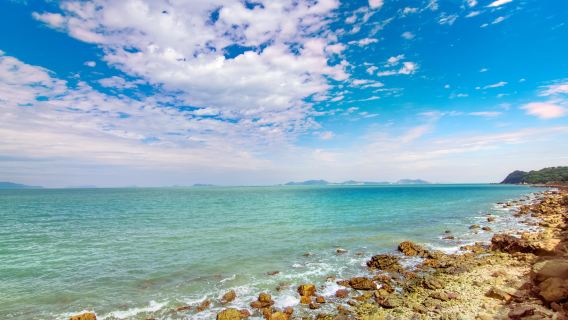 Shenzhen Private Day Tour: Yangmeikeng, Luzui Villa, Dapeng Fortress, Jiaochangwei