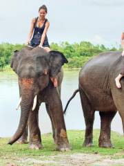 Phuket Elephant Ride