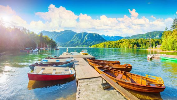 Bled