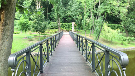 Bohol