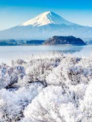 Mont Fuji