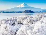2023年富士山の人気観光スポット - 富士山の旅行ガイド - 富士山の 