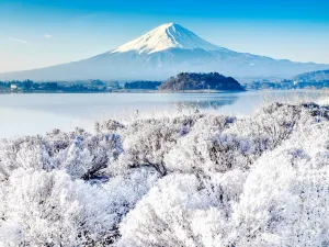 富士山