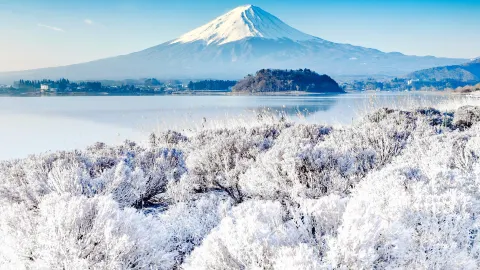 후지산 travel destination