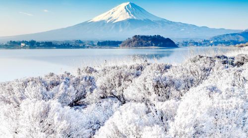 富士山