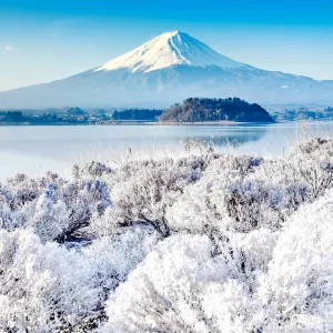 【富士山自由行】3天2夜富士山旅遊這樣玩，行程規劃懶人包全面看！