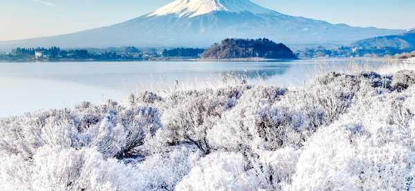 Hotel Bintang 3 di Jepang