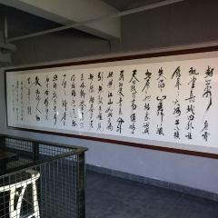 北方味道饺子馆 User Photo
