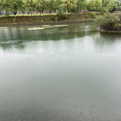 前童紫园·紫竹园农庄 User Photo