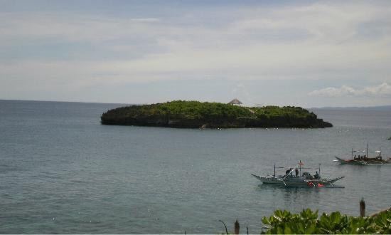 Crocodile Island