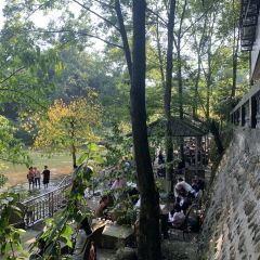 JIN CEN YUAN NONG ZHUANG User Photo