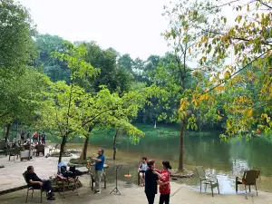 JIN CEN YUAN NONG ZHUANG