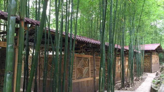 Longjing Holiday Villa