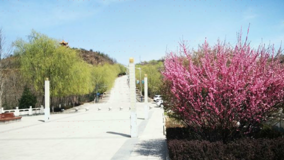 Huangheguxiang Forest Park