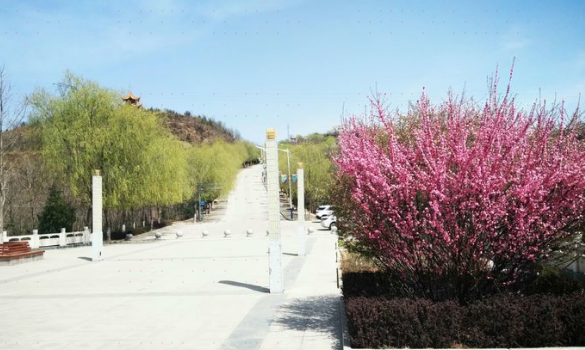Huangheguxiang Forest Park