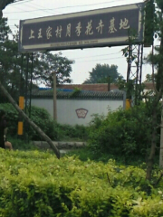 Shangwangjia Village Rose Flower Base