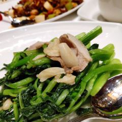 大连一方城堡豪华精选酒店·臻宝中餐厅 User Photo