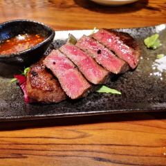 Suzuka 여행 사진