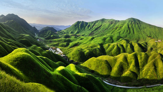 Mandarin Duck Meadow