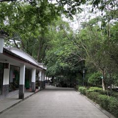 陈庄乡土鸡·柴火鸡·川菜 User Photo