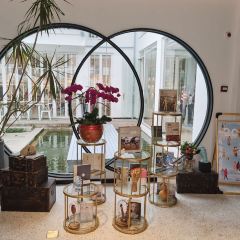 Qilinshuju User Photo