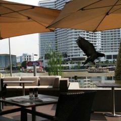 Flow Restaurant-Millennium Hilton Bangkok User Photo